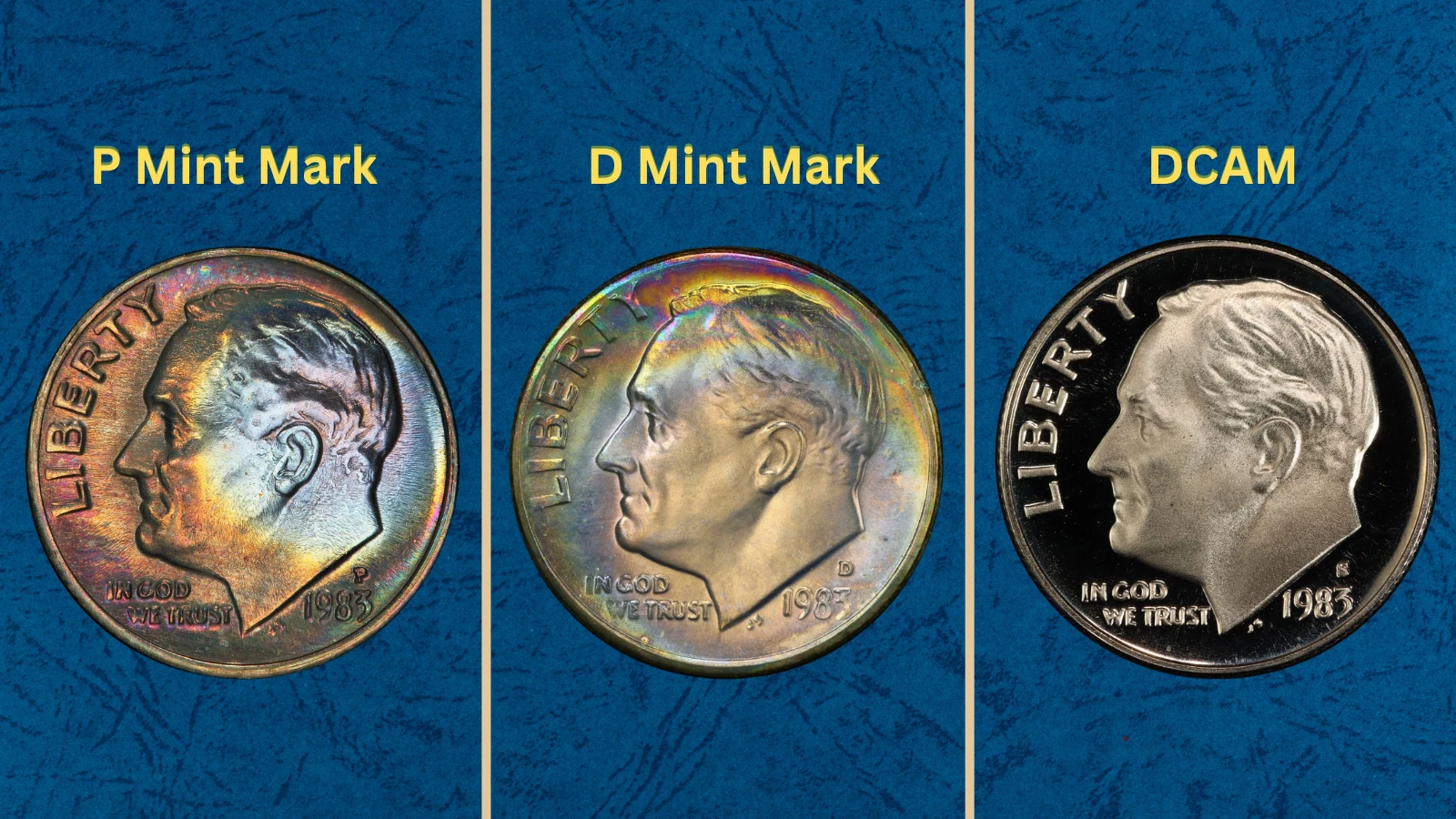 Group of 1983 Roosevelt dimes showing Philadelphia P, Denver D, and San Francisco S proof specimens